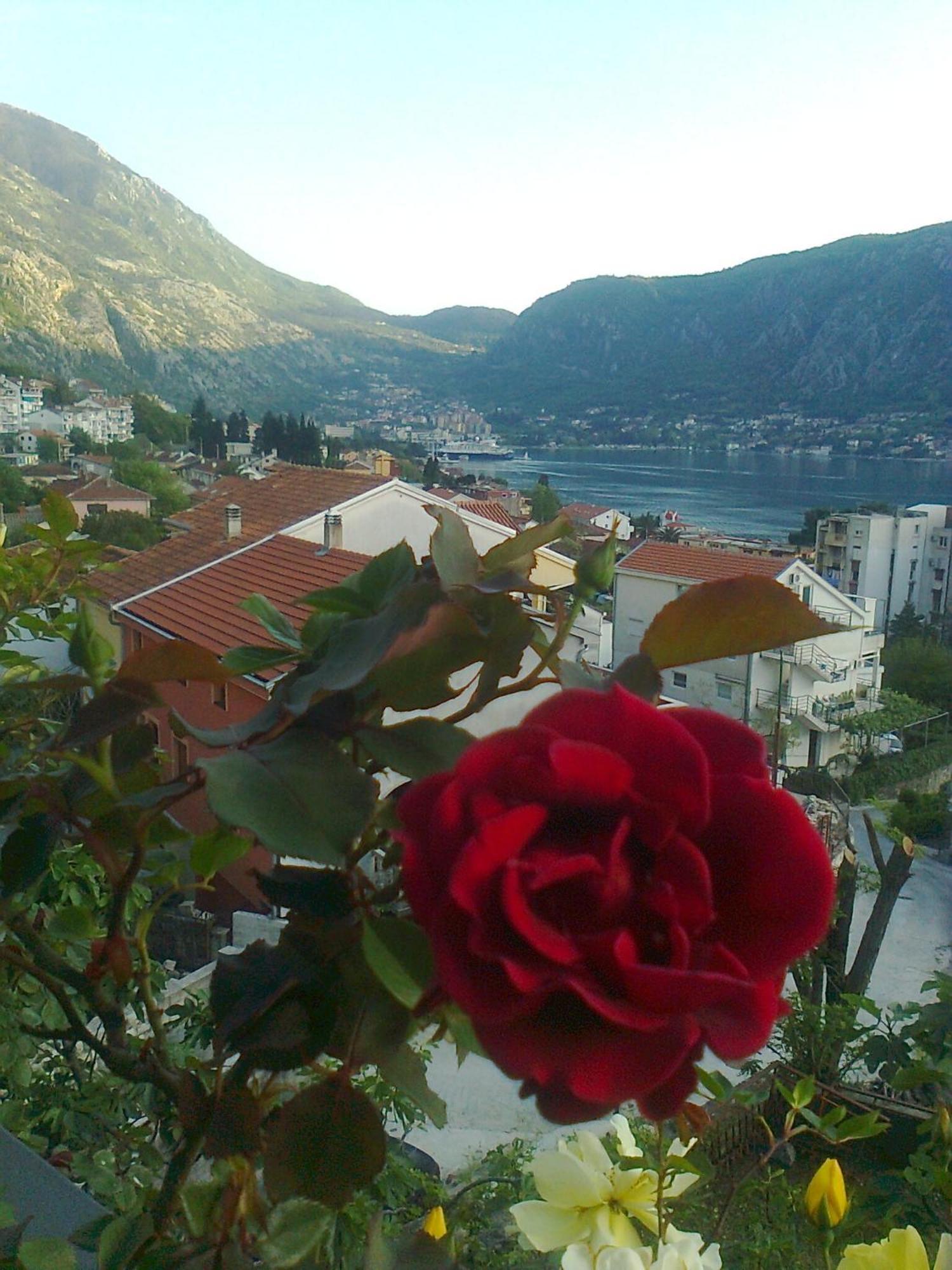 Apartment Aki Kotor Eksteriør billede